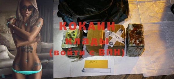 гашик Няндома